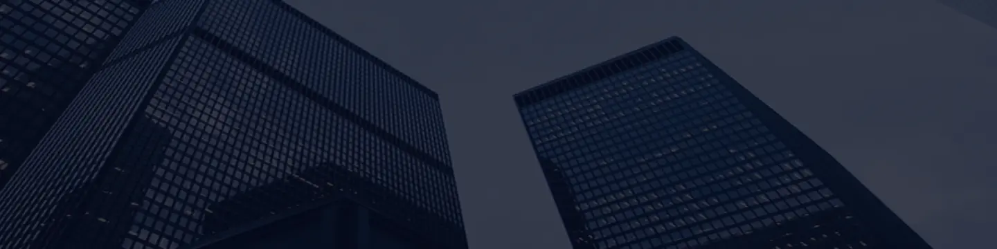 About Rim Group