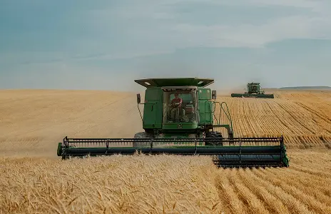 RIM Beverage & Agro Foods.